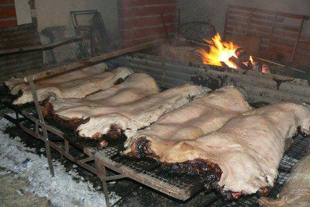 chanchoconpelo