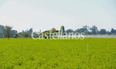 fitosanitarios-400x240