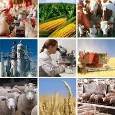 NOTICIAS AGROPECUARIAS