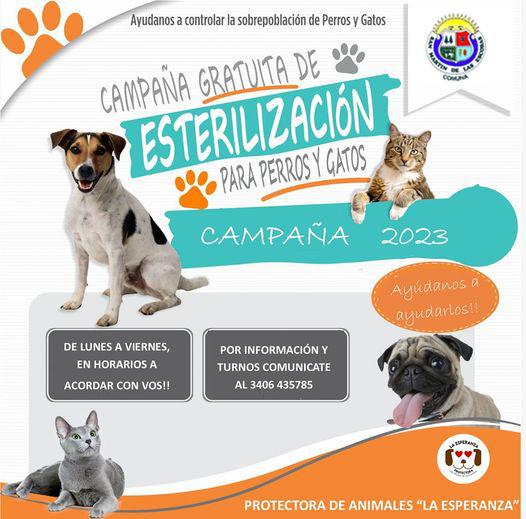 esterilizacionsanmartin