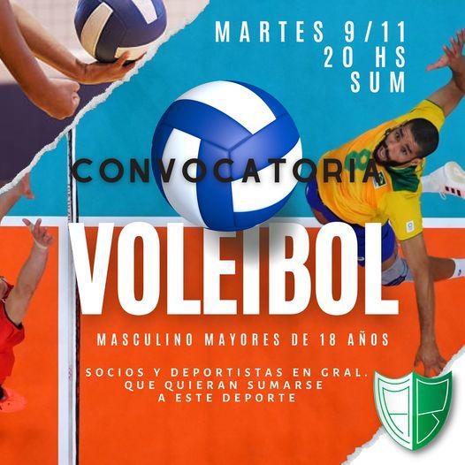 voleymasculinodebrown