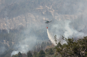 INCENDIOS-PATAGONICOS-300x198