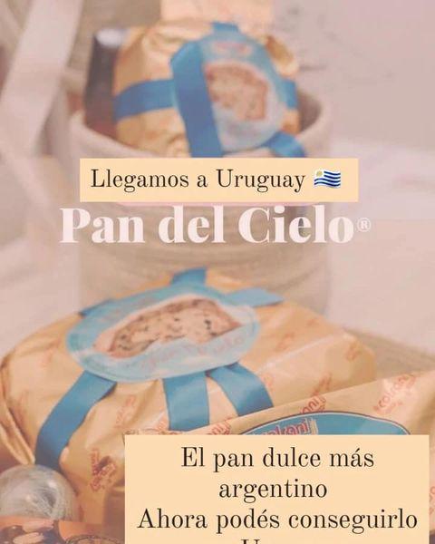 colzaniuruguay1