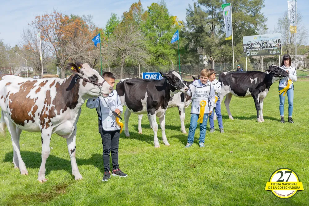 549185671_1242789397890014_7431219432377562024_n