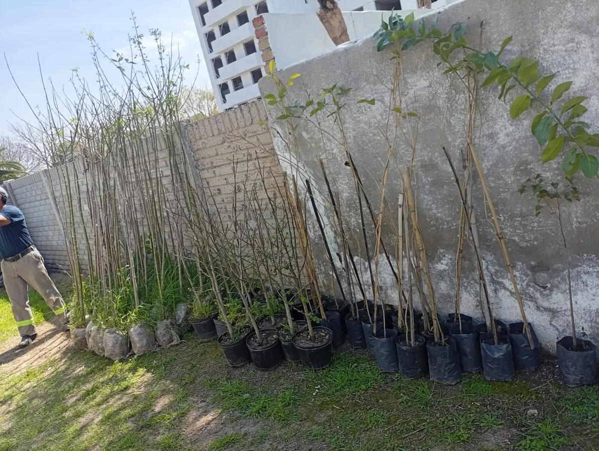 550778806_18337608901200974_7416234247260060504_n