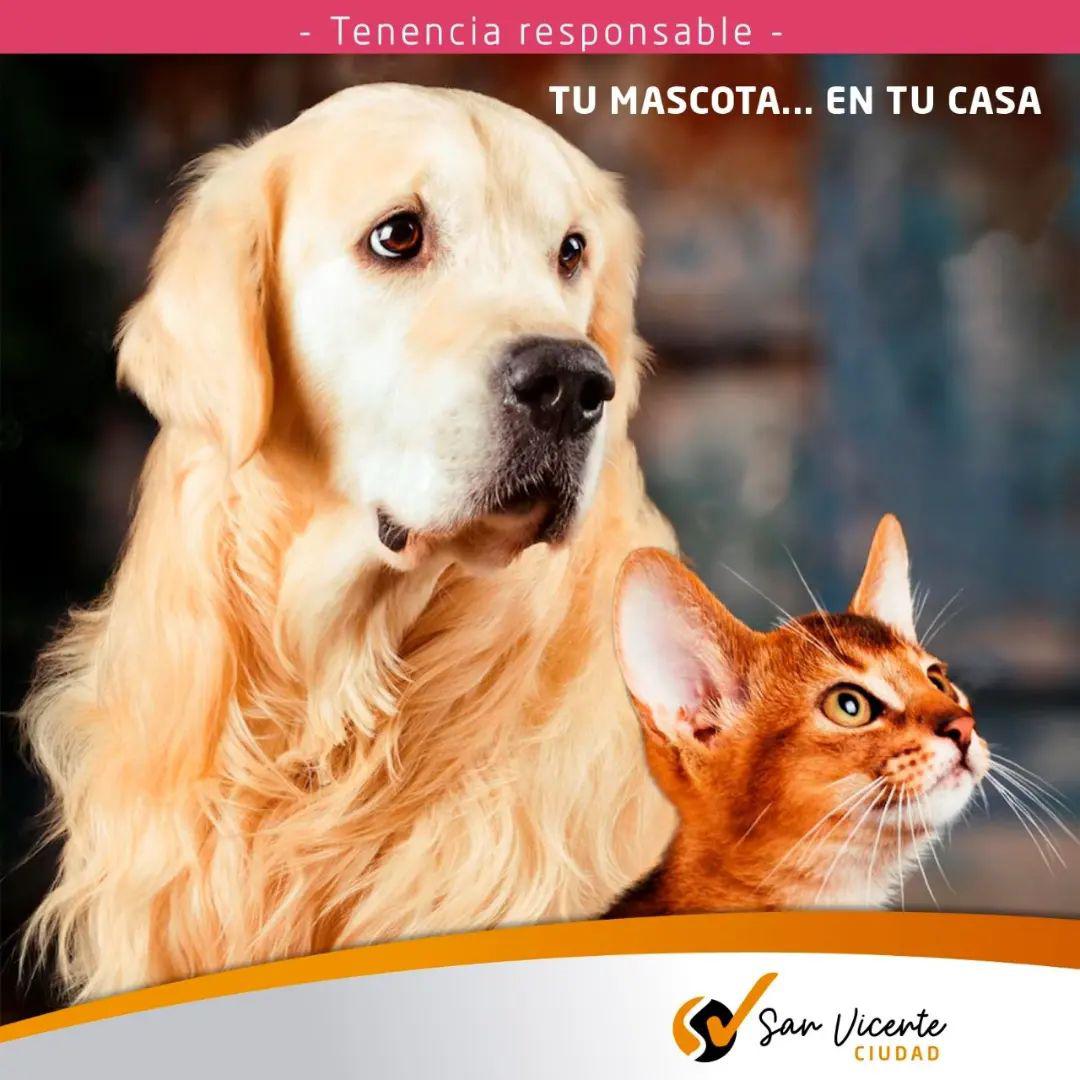 mascota1