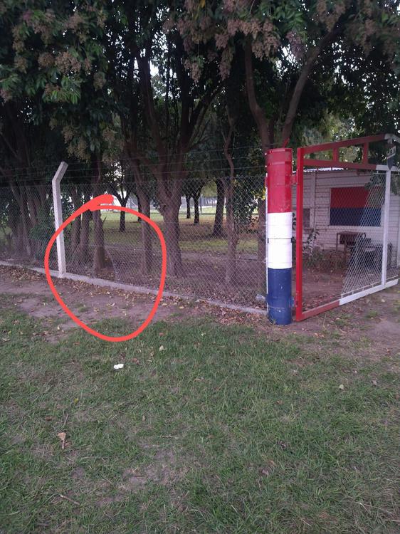 bochazoroturas
