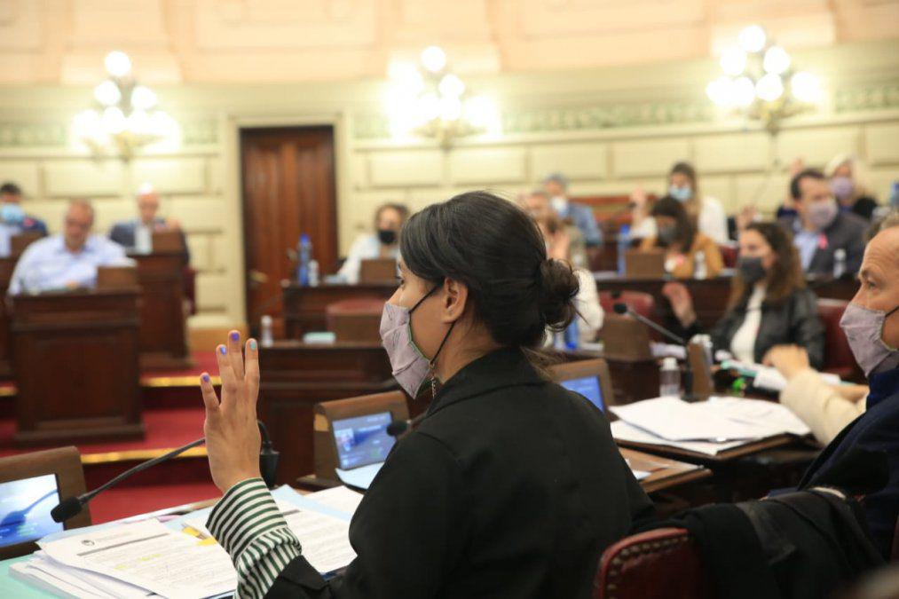 diputados-sesionjpeg