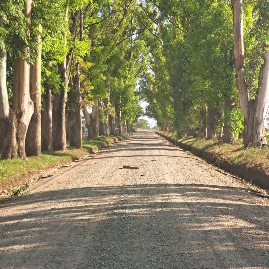 caminosrurales1