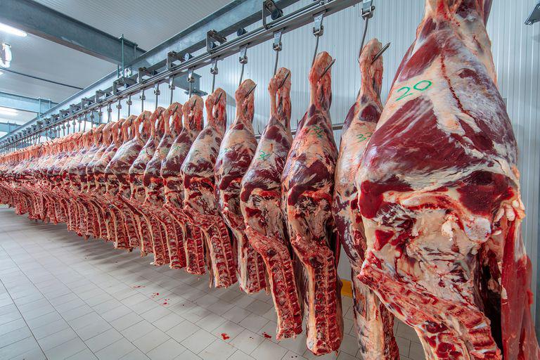 carne-5