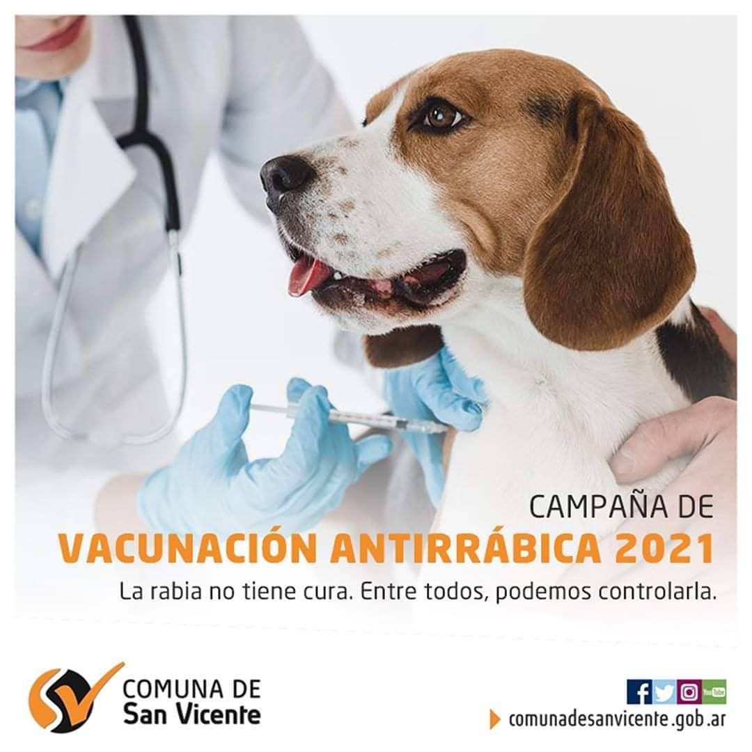 Vacunacion antirrabica