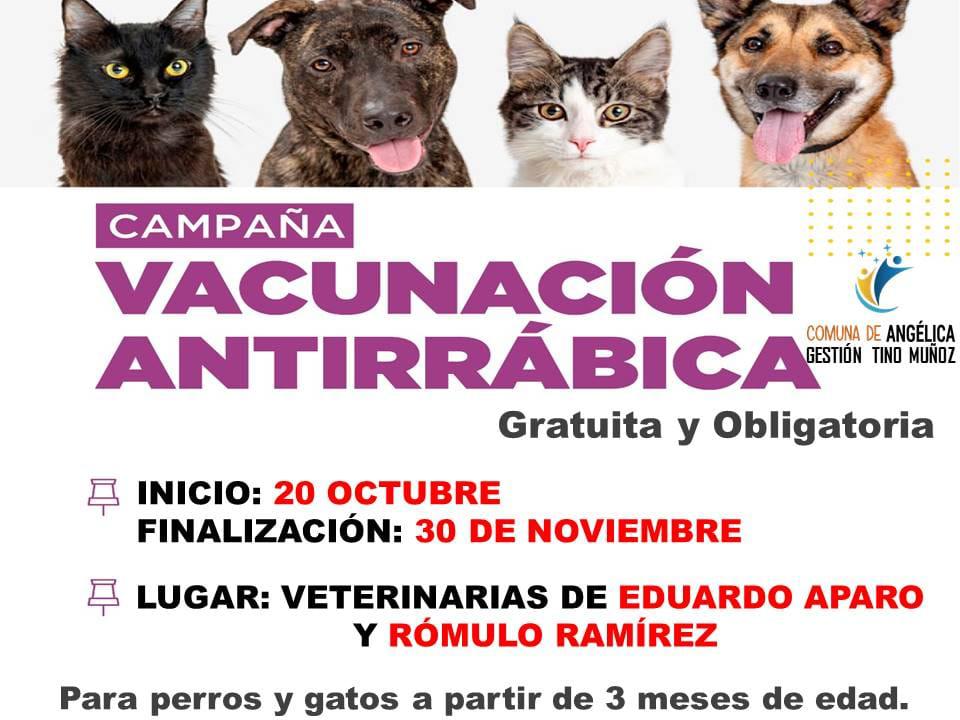 vacunacionantirrabicaangelica