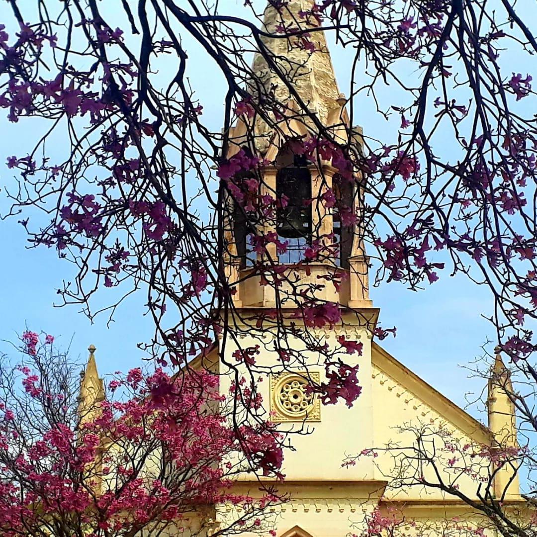 iglesia nueva pato color
