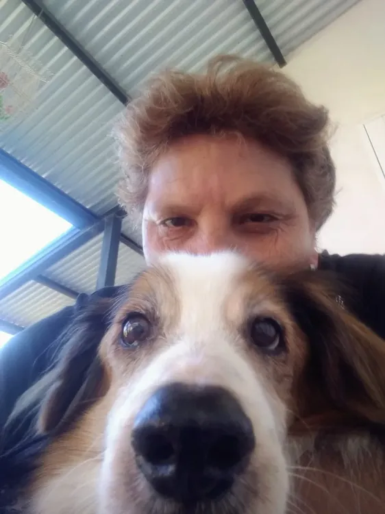 b24729e1-8e1e-4728-bf7e-dd95645430c9