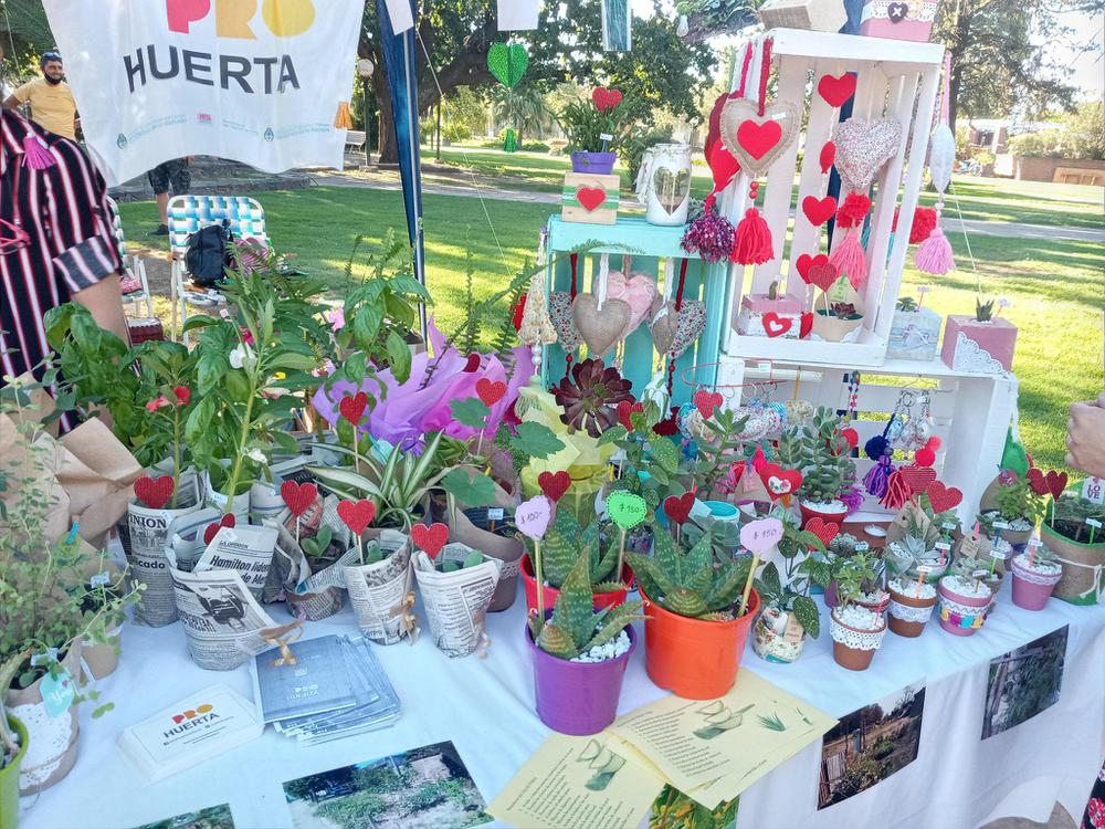 SVPRENSA055