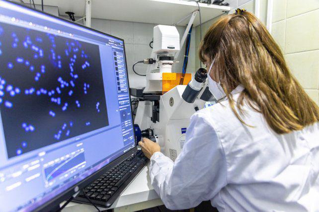 covid-coronavirus
