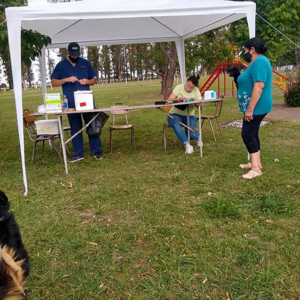 vacunalossembrados