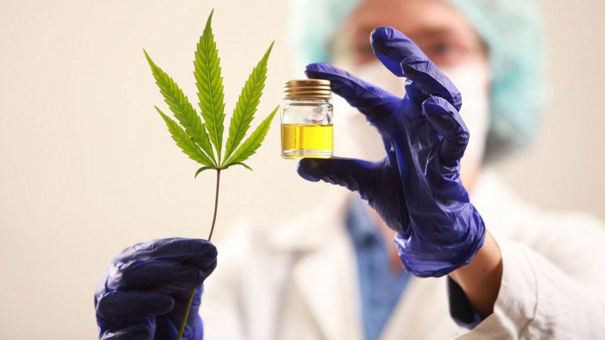 cannabismedicinal